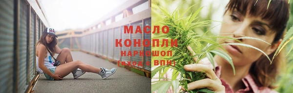 стафф Бородино