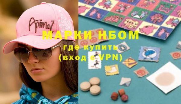 стафф Бородино