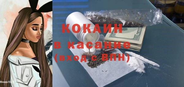 стафф Бородино