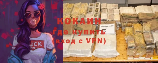 стафф Бородино