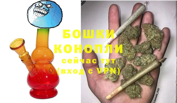 стафф Бородино